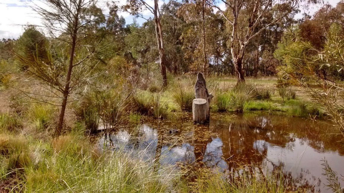 Visit Euroa Arboretum Euroa Arboretum