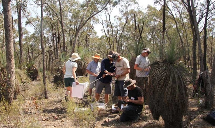 20th Box-Ironbark Ecology Course 2017