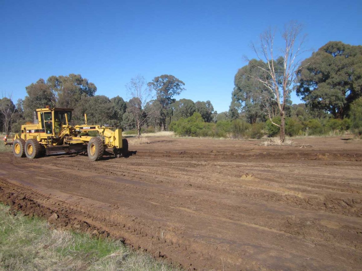 Native grassland establishment at Euroa Arboretum