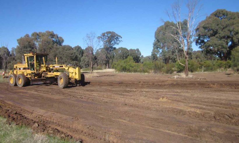 Native grassland establishment at Euroa Arboretum