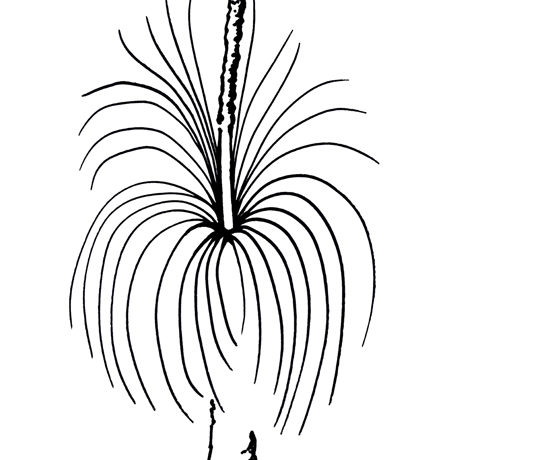 A message from Cathy Olive