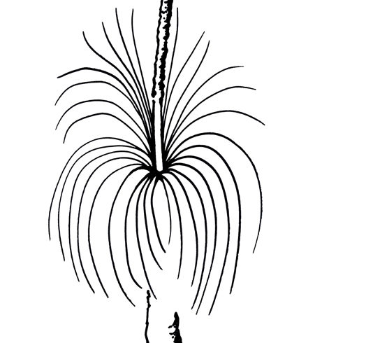 A message from Cathy Olive