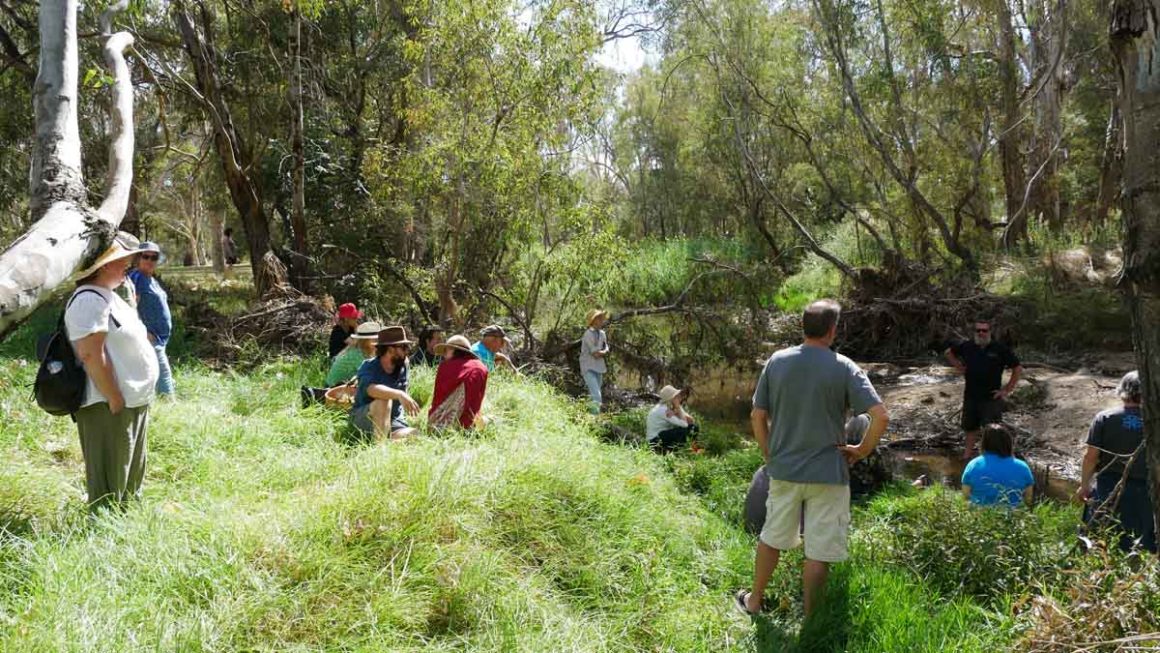 Taungurung Day on the Seven Creeks – Euroa Arboretum