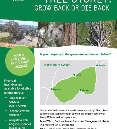 Tree Storey – Grow Back or Die Back