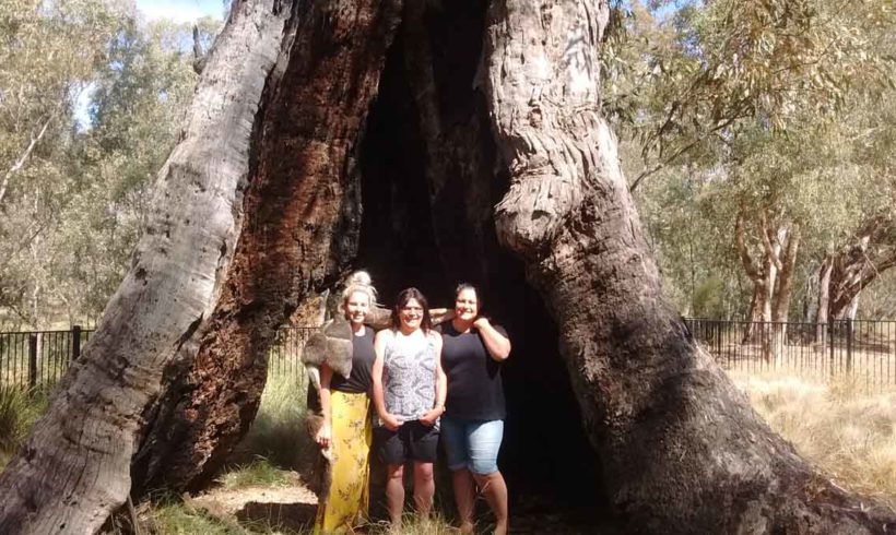 Taungurung Day on the Seven Creeks