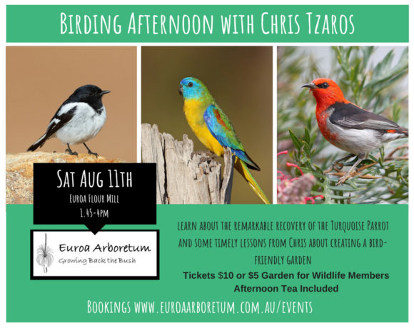 Birding Afternoon with Chris Tzaros