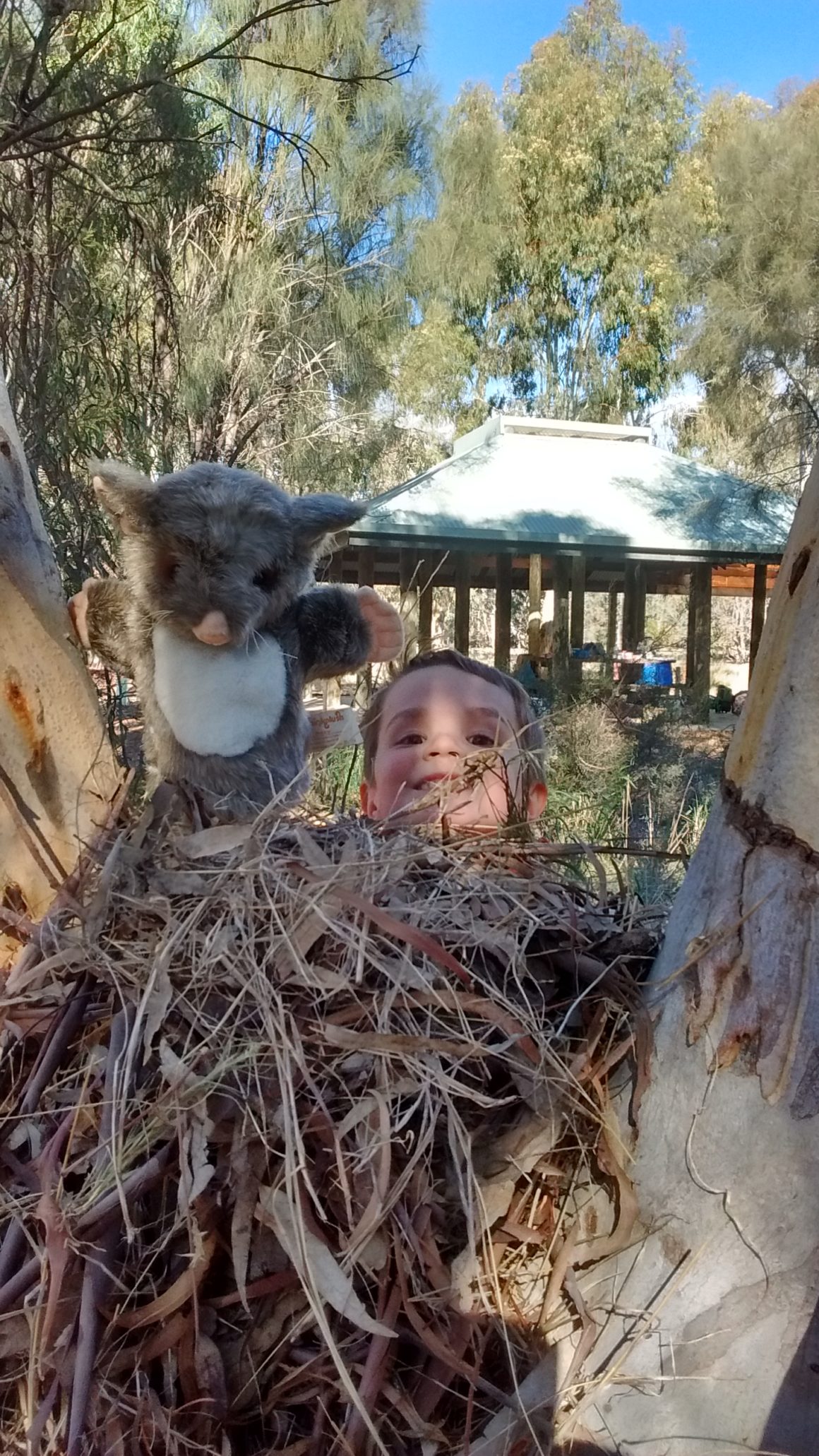 Come and Build a Giant Kid-Sized Nest