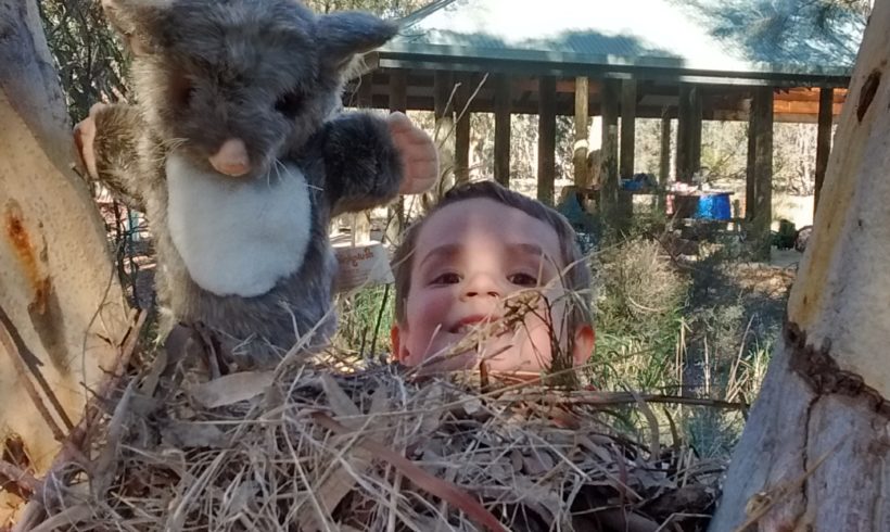 Come and Build a Giant Kid-Sized Nest