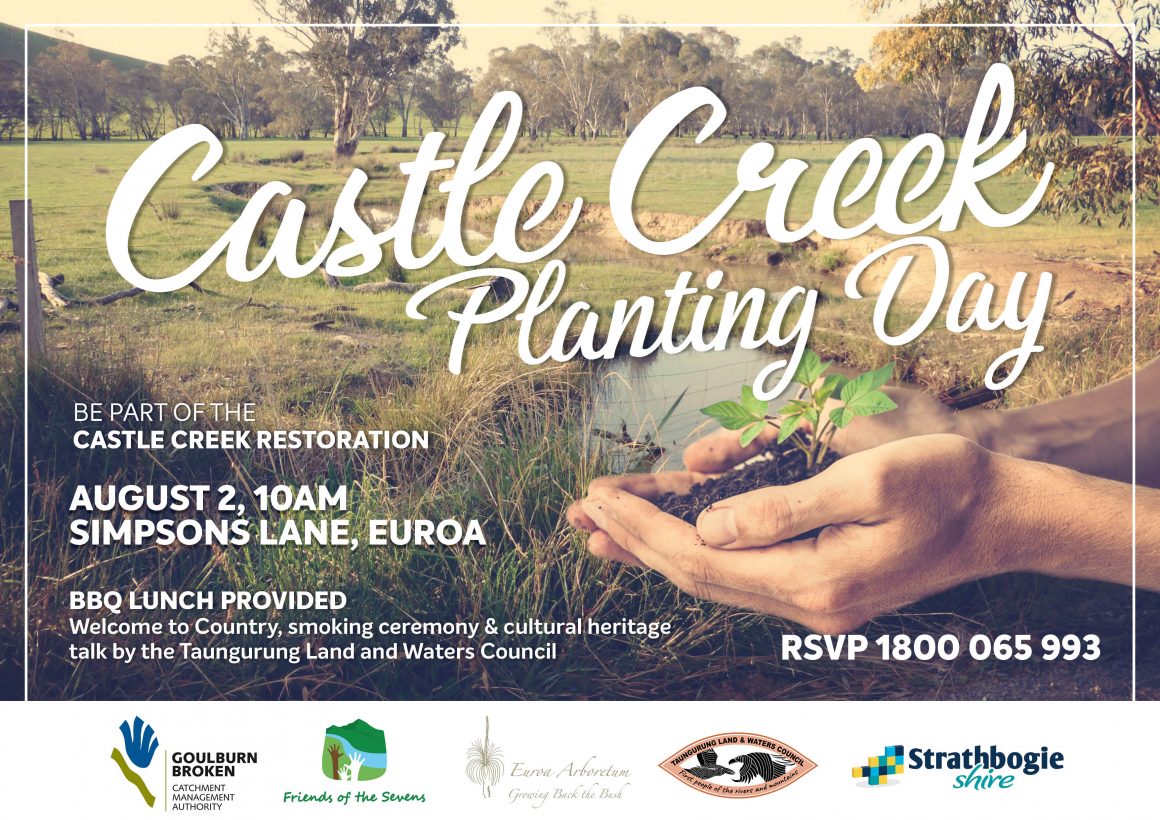 Castle Creek Planting Day