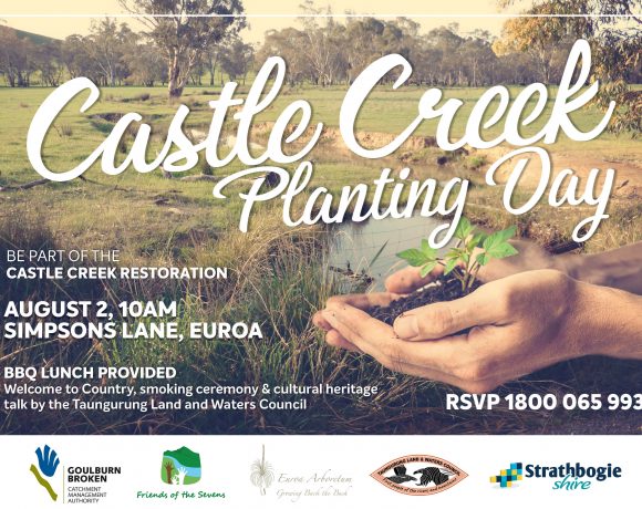 Castle Creek Planting Day