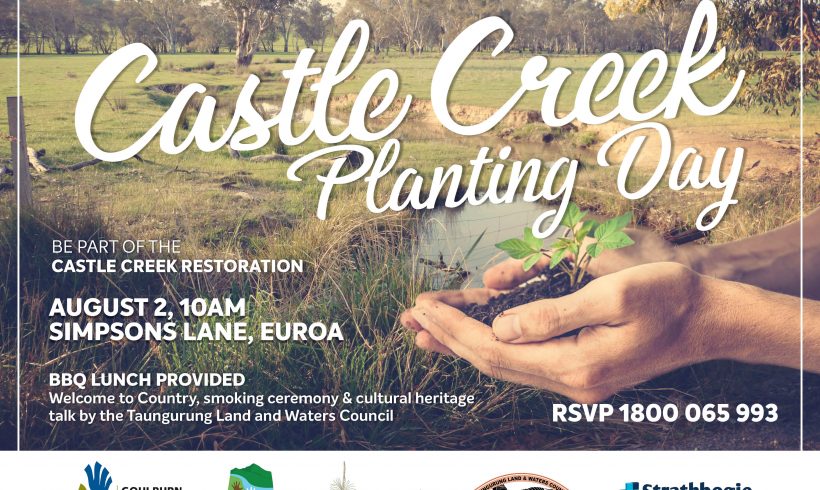 Castle Creek Planting Day