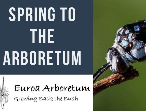 Spring to the Arboretum