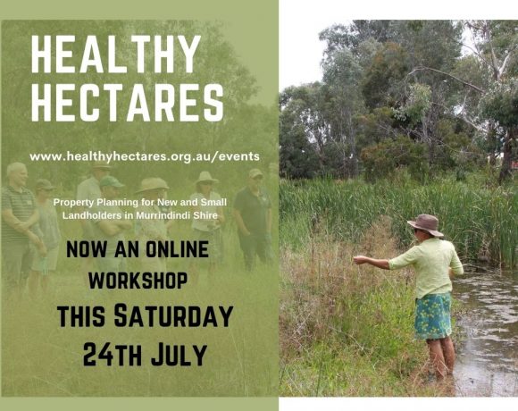 Healthy Hectares goes Online