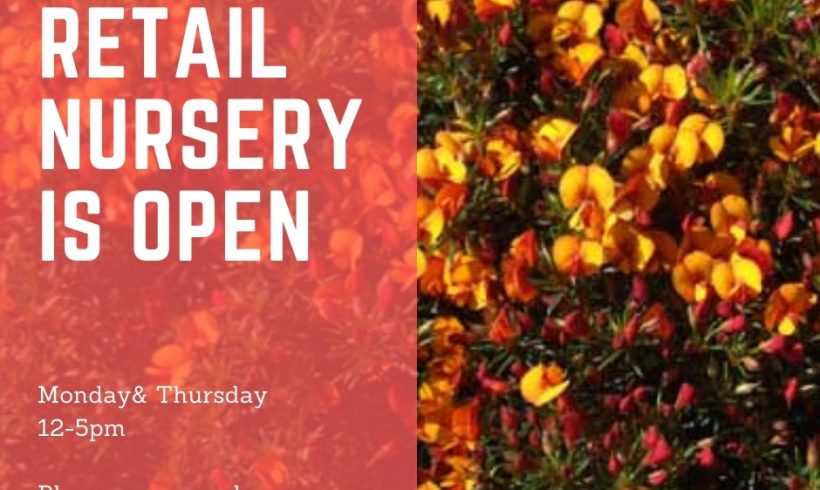 Retail Nursery Open