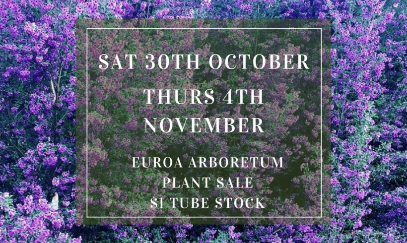 Nursery Plant Sale