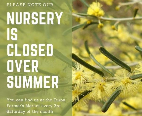 Nursery Closed from November to March 2022