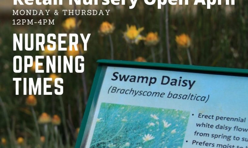 Retail Nursery Open April