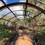 New climate ready garden