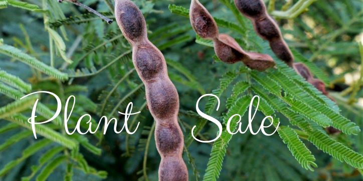 Mid-Year Plant Sale