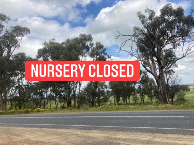 Nursery Closed