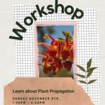 Workshop – Learn about Plant Propagation