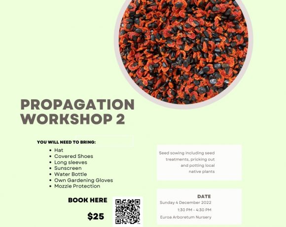 Propagation Workshop 2