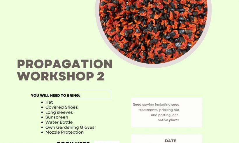 Propagation Workshop 2