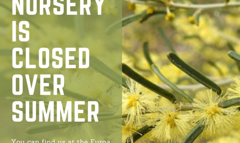 Nursery closed for summer