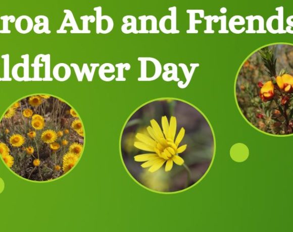 The Arb and Friends Wildflower Day