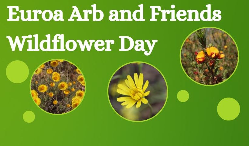 The Arb and Friends Wildflower Day