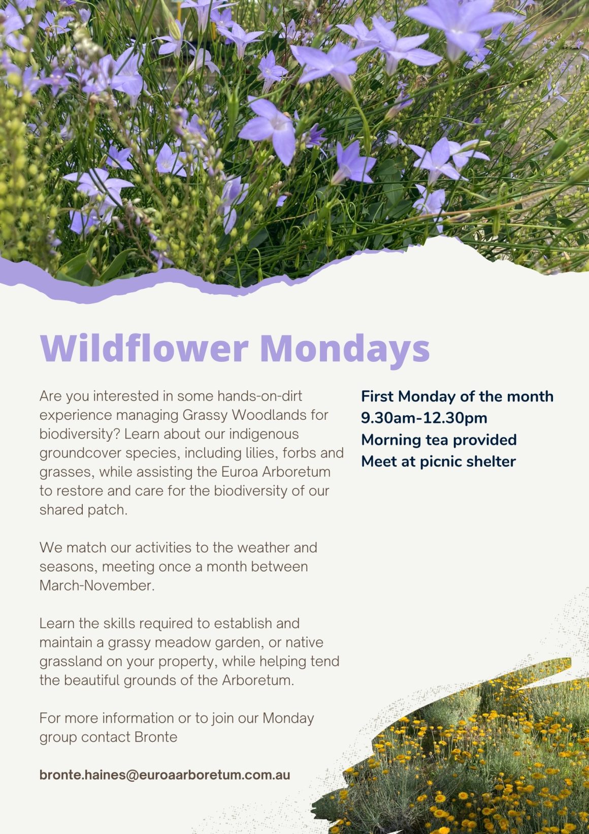 Wildflower Mondays – beginning Monday 8th April