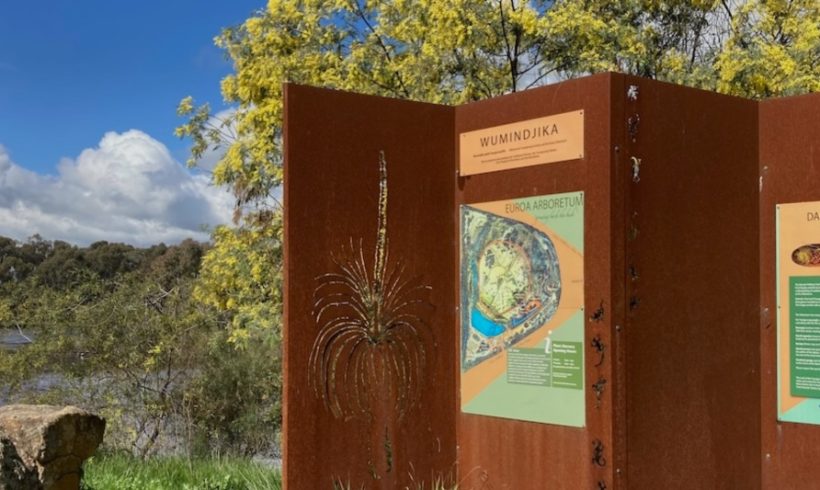 Community online survey