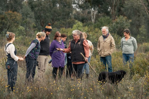 Wawa biik – Euroa Arboretum