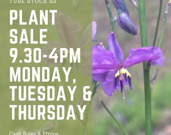 Nursery Plant Sale