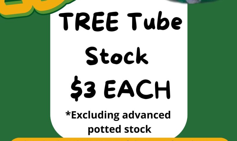 Tree Tube Stock Sale